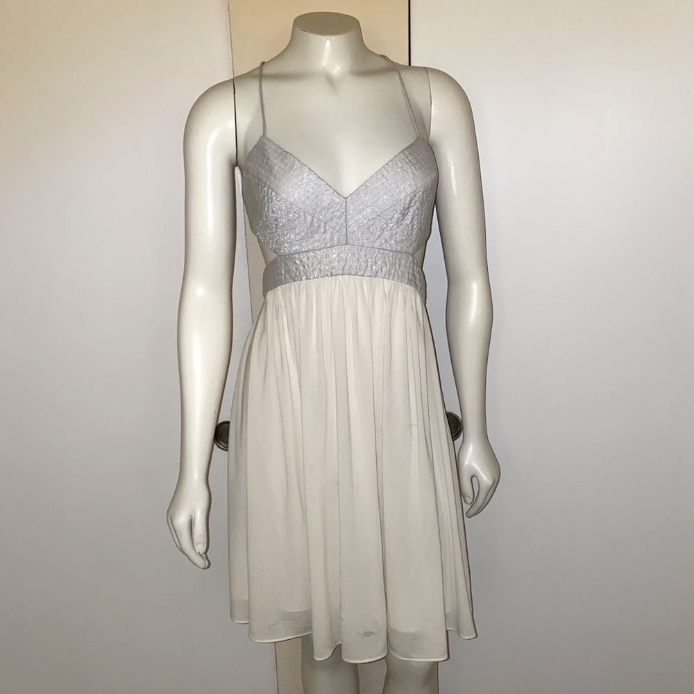 Beautiful Silver and Off White BGBGMaxazria Dress